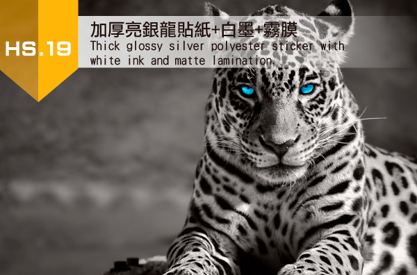 19.加厚亮銀龍貼紙+白墨+霧膜(圖片不易表達, 請來店親賞)