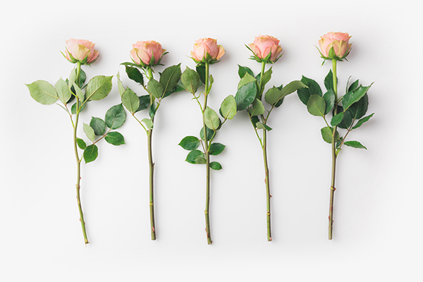 201.花