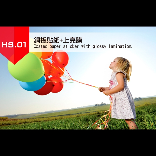 1.銅板貼紙-亮膜