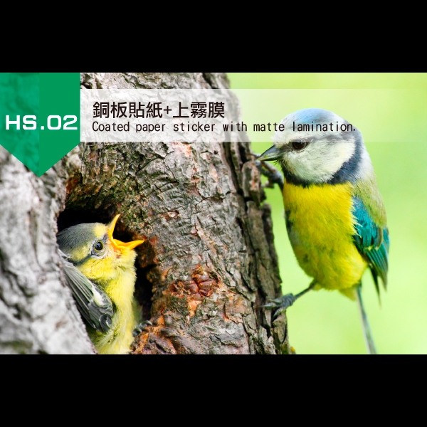 2.銅板貼紙+霧膜