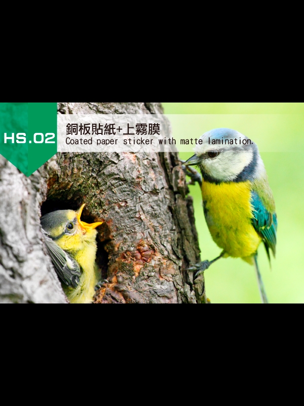2.銅板貼紙+霧膜