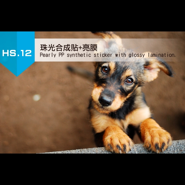 12.珠光合成貼+亮膜