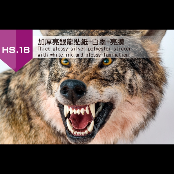 18.加厚亮銀龍貼紙+白墨+亮膜(圖片不易表達, 請來店親賞)