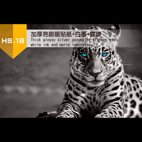 19.加厚亮銀龍貼紙+白墨+霧膜(圖片不易表達, 請來店親賞)