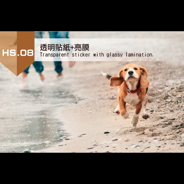 8. 透明貼紙+亮膜