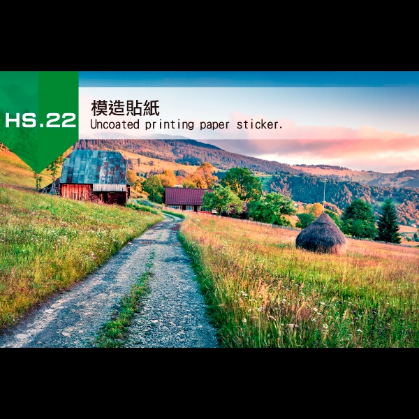 22.模造貼紙